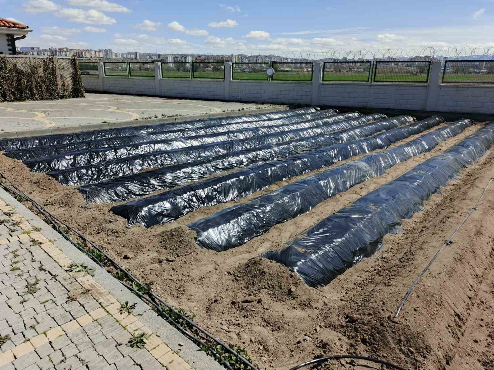 Büyükşehirin Doğal Ürünler Bahçesi ve Pazarı’nda yeni sezon hazırlığı
Büyükşehirin Doğal Ürünler Bahçesi ve Pazarı’nda yeni sezon hazırlığı