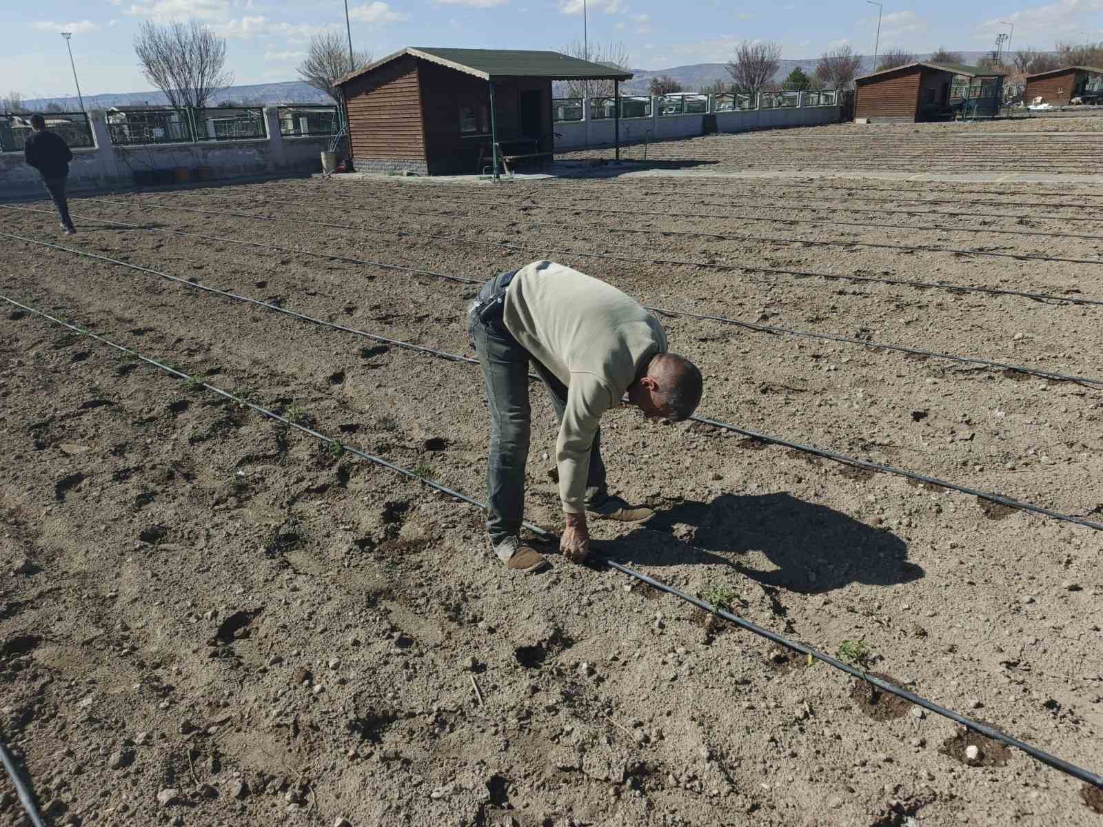 Büyükşehirin Doğal Ürünler Bahçesi ve Pazarı’nda yeni sezon hazırlığı
Büyükşehirin Doğal Ürünler Bahçesi ve Pazarı’nda yeni sezon hazırlığı