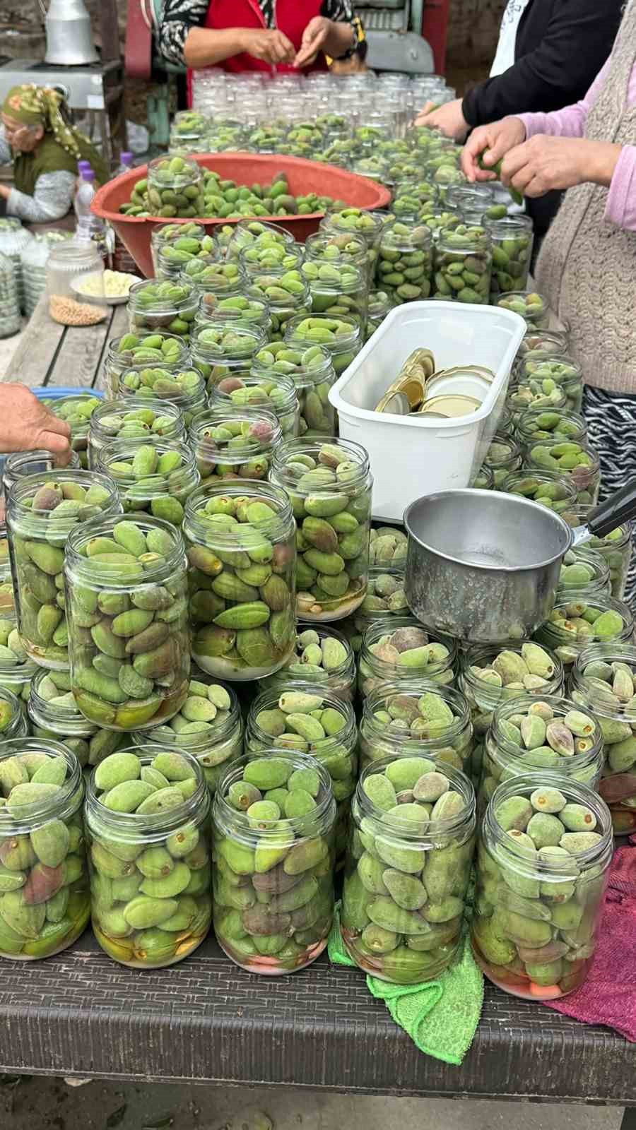 Çağla turşusundan kadın üreticilere ekonomik katkı
