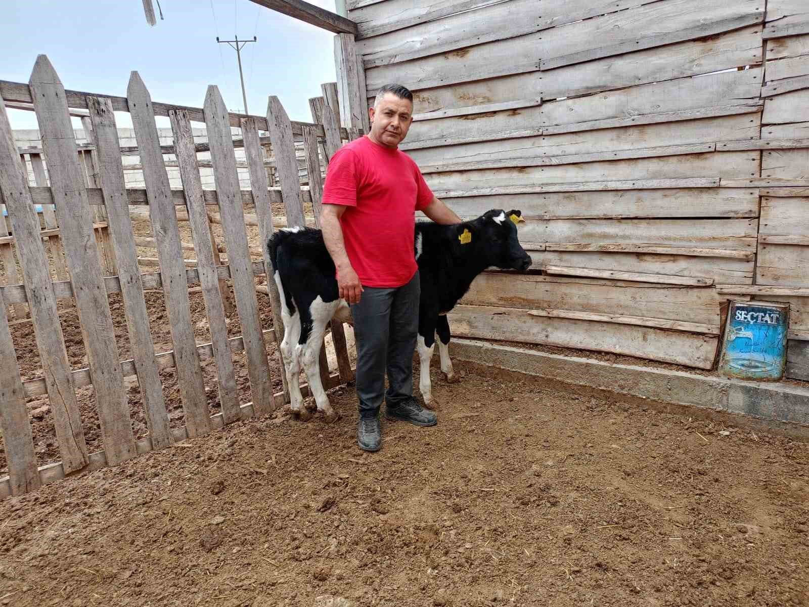 Çal’da Mert için yürekler seferber oldu
