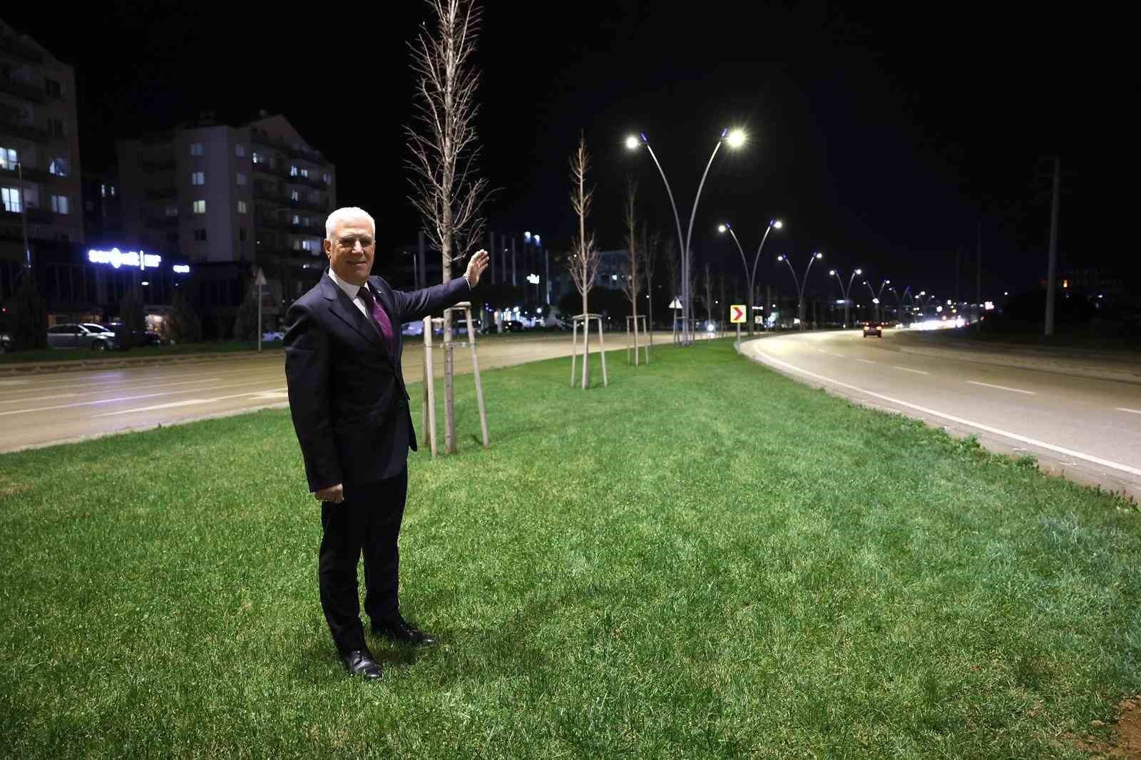 Çalı yolu büyükşehirle aydınlandı
