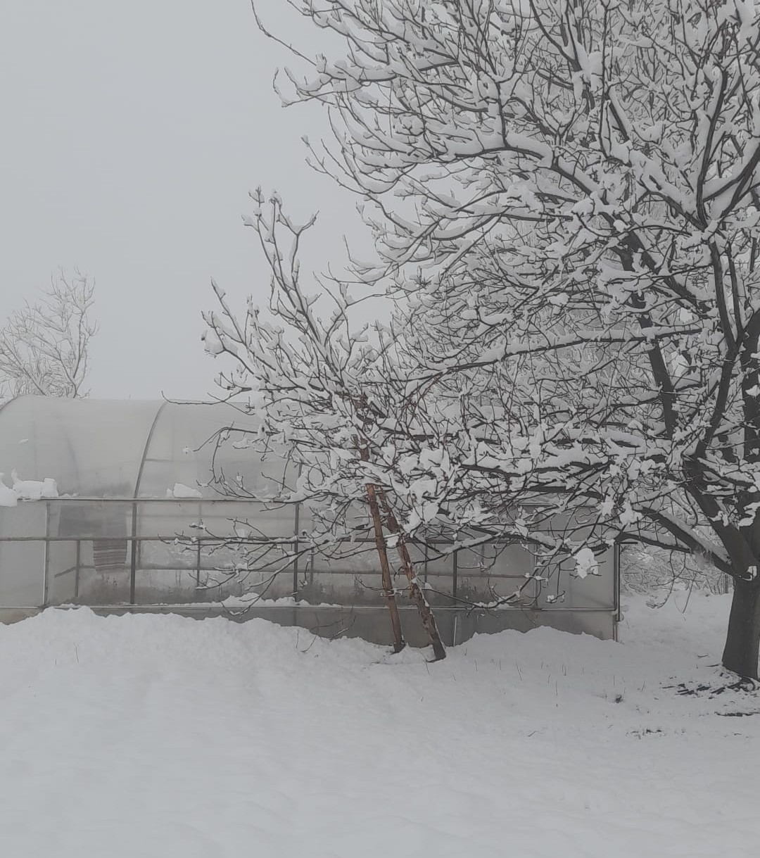 Çameli’nde kar kalınlığı 20 santime yaklaştı
