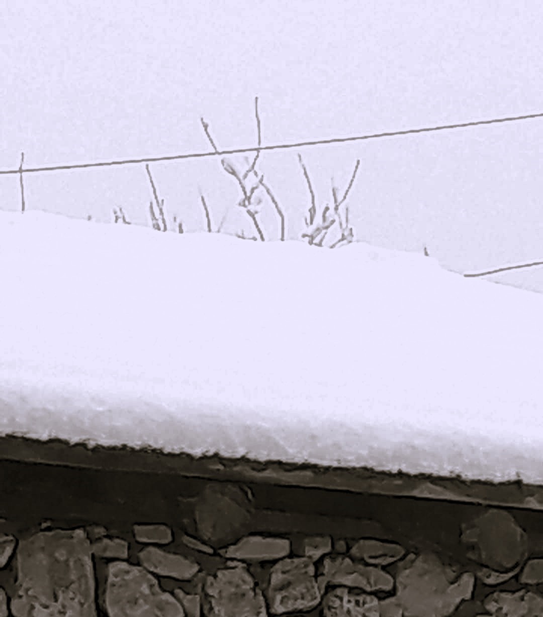 Çameli’nde kar kalınlığı 20 santime yaklaştı
