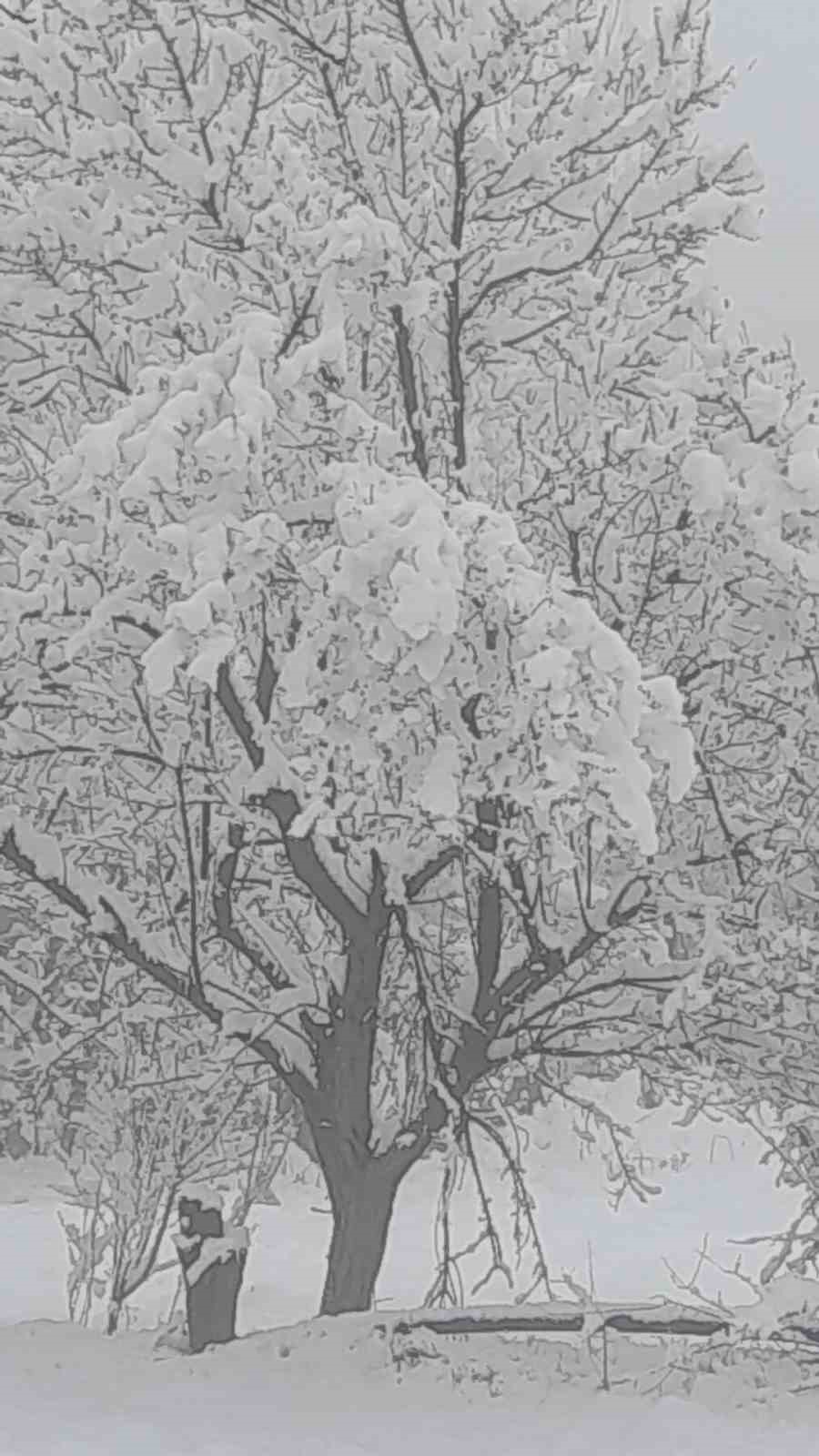 Çameli’nde kar kalınlığı 20 santime yaklaştı
