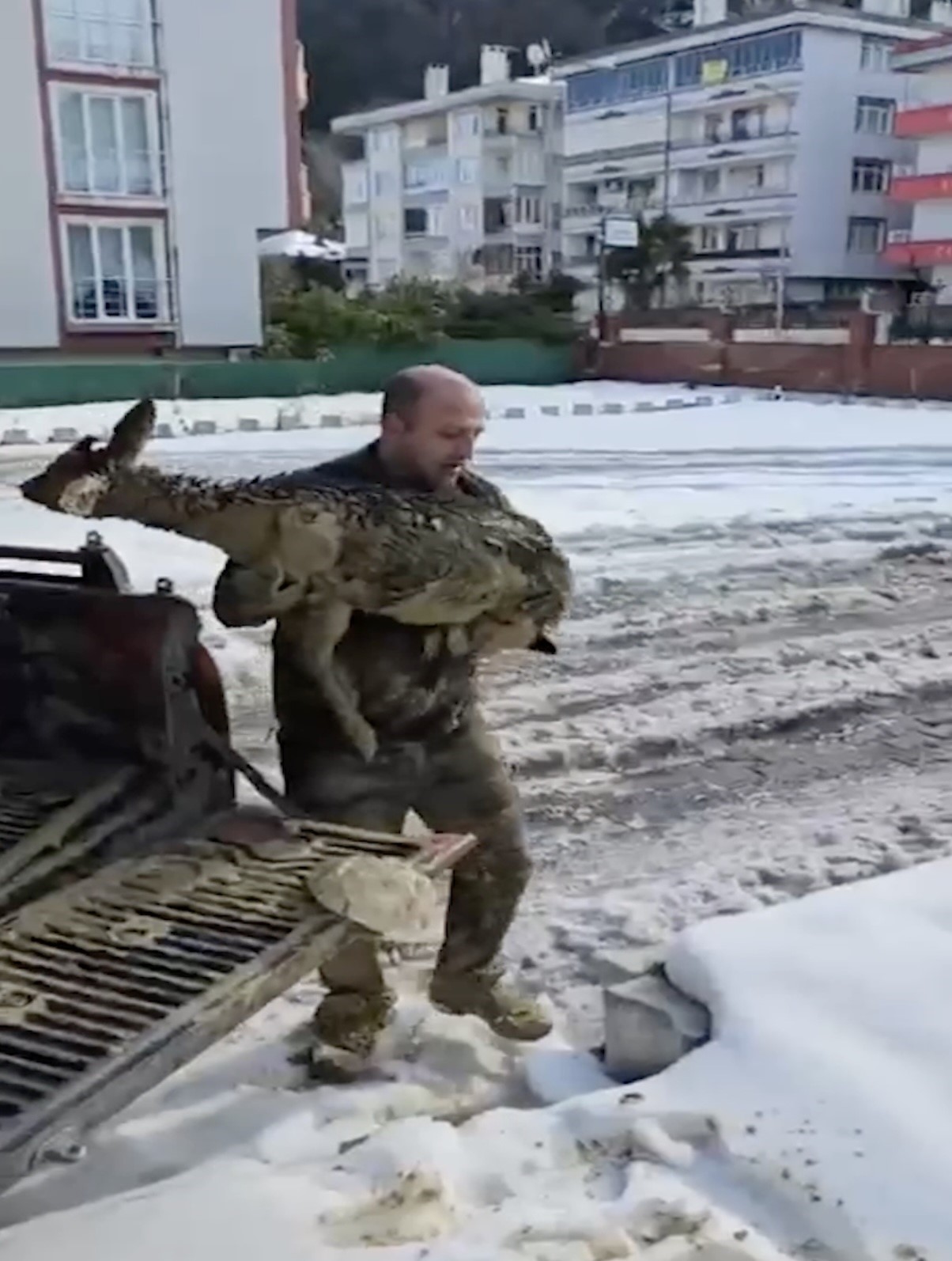 Çamura saplanan karaca için ekipler seferber oldu
