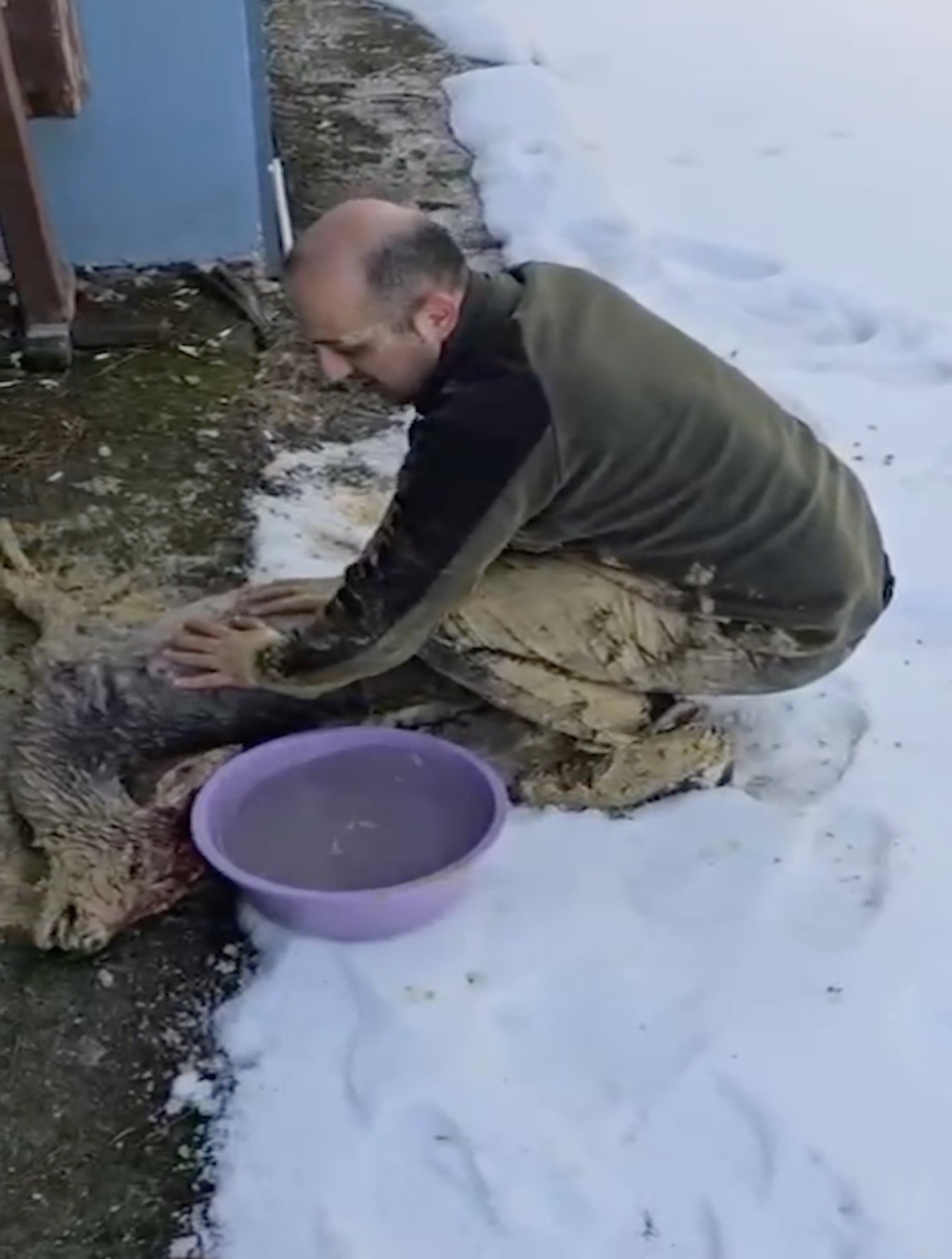 Çamura saplanan karaca için ekipler seferber oldu
