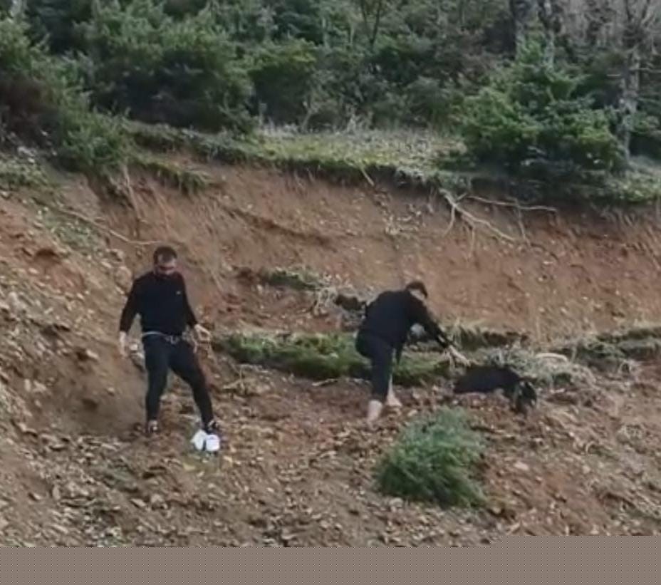 Çamura saplanan keçi son anda kurtarıldı
