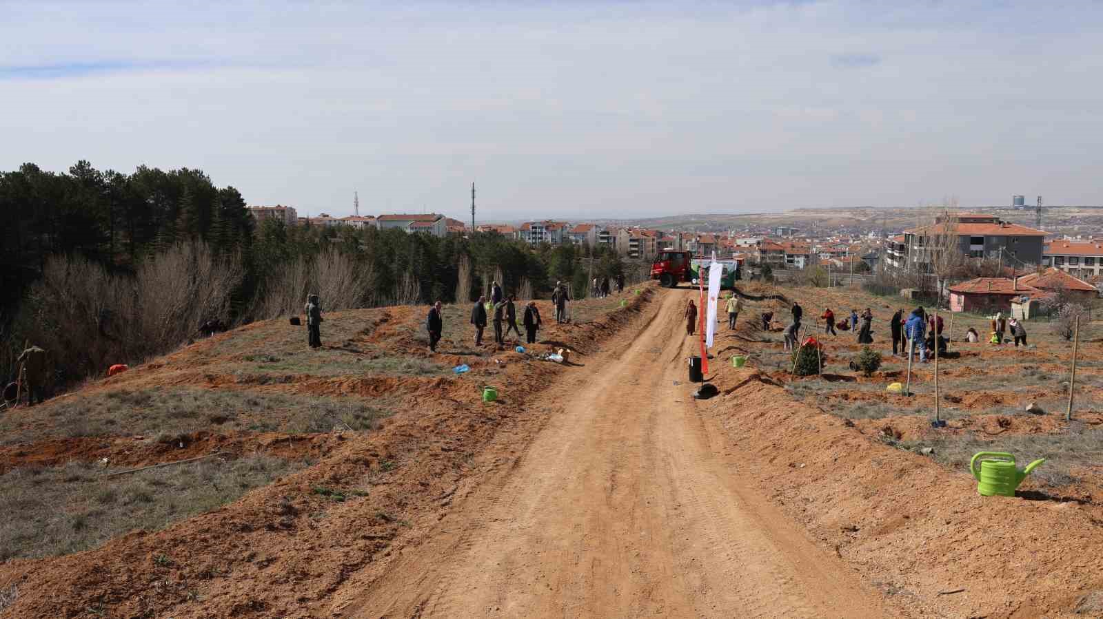 Çanakkale şehitleri için 438 fidan toprakla buluştu
