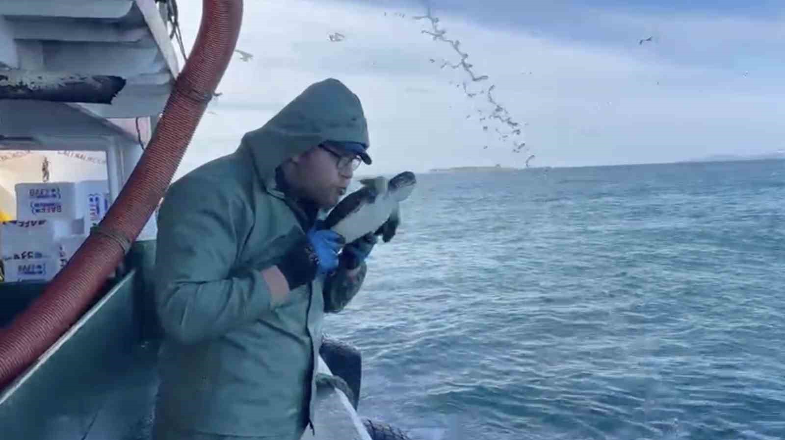 Çanakkale’de balıkçılar ağlarına takılan caretta carettayı kurtardılar
