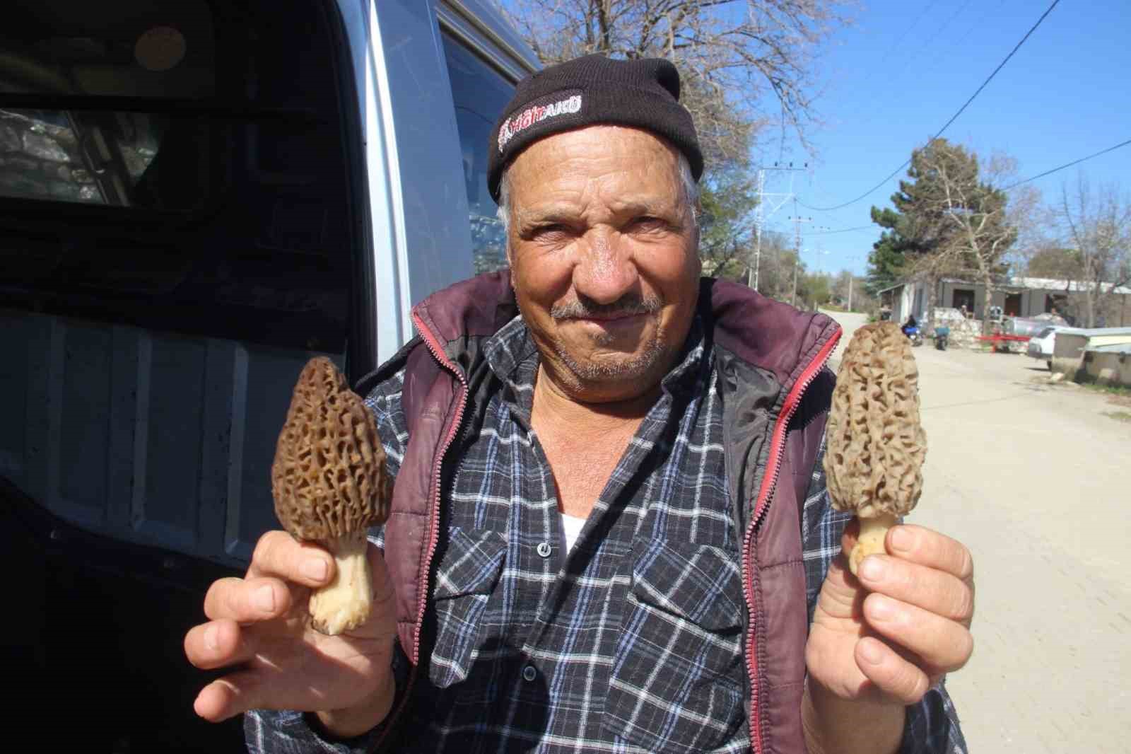 Çanakkale’de dağ köylerinde kuzugöbeği gelir kapısı oldu
