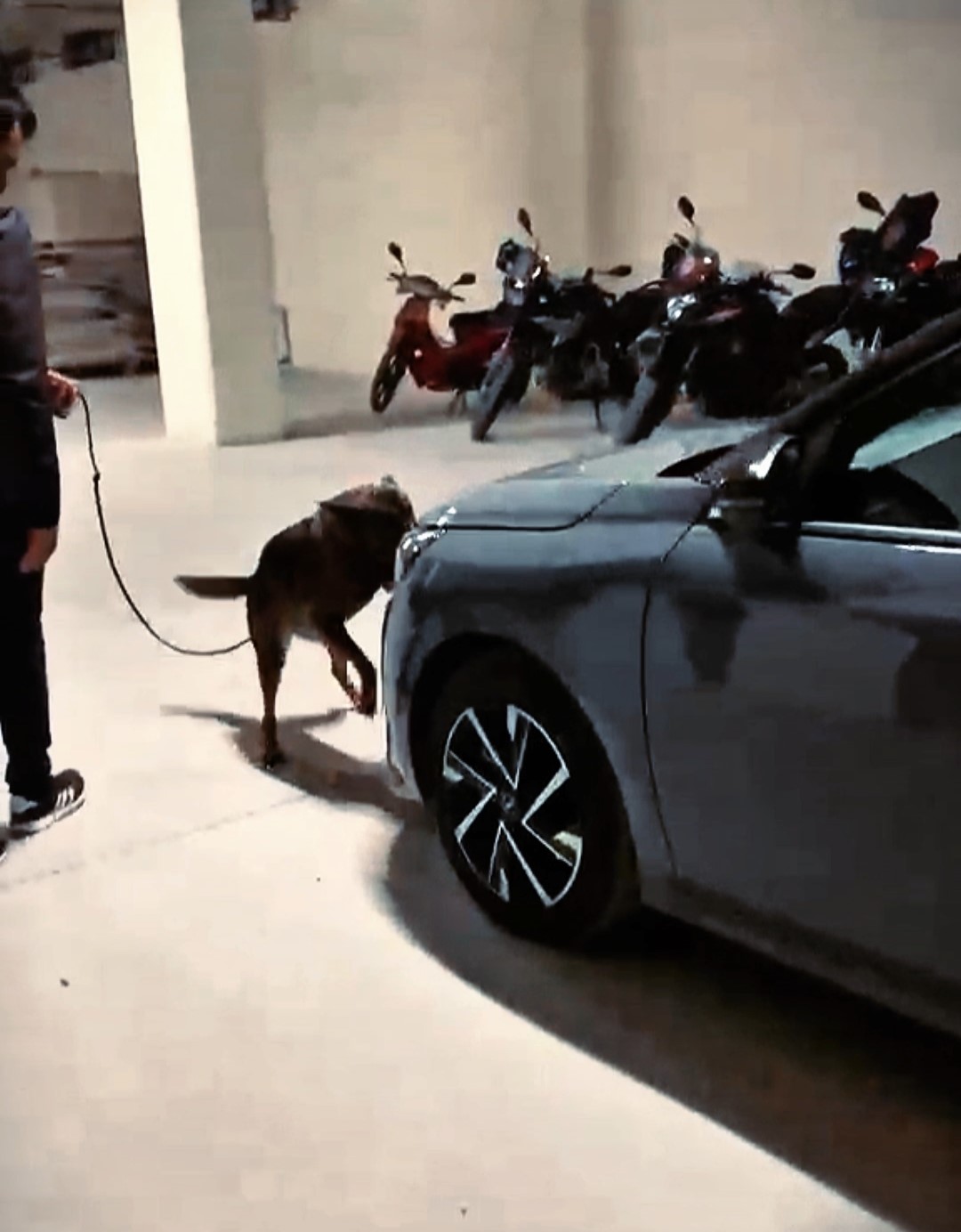 Çanakkale’de farklı suçlardan aranması bulunan 97 kişi yakalandı
