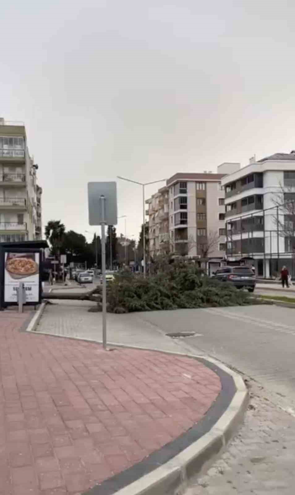 Çanakkale’de fırtına ağaçları devirdi
