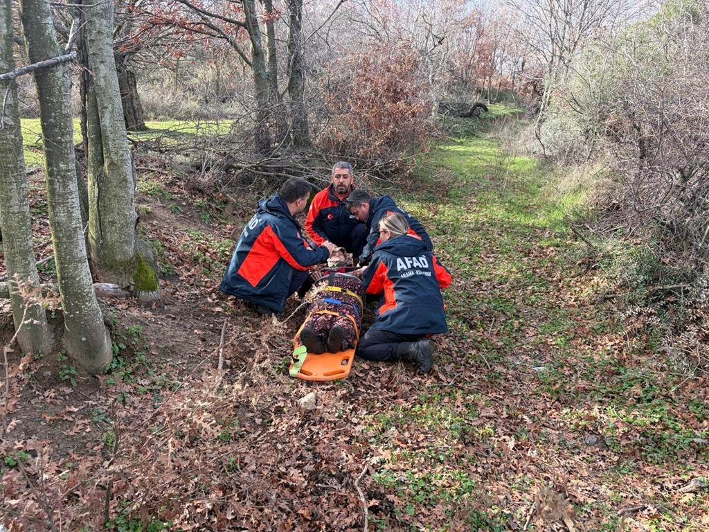 Çanakkale’de kaybolan demans hastası sağ olarak bulundu
