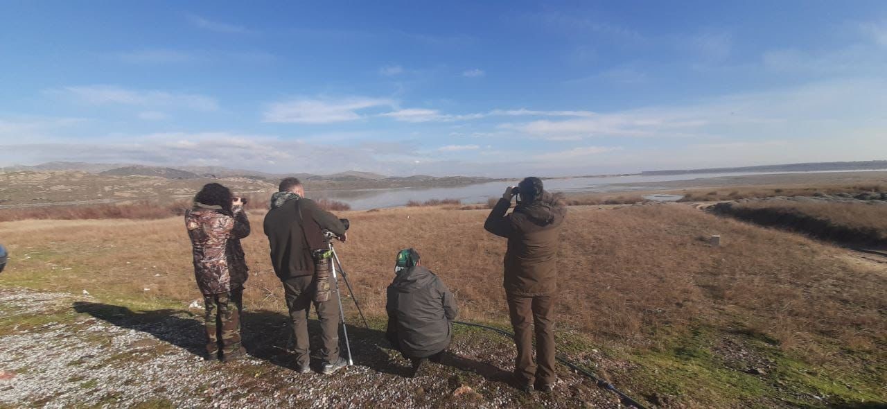 Çanakkale’de kış ortası su kuşu sayımları

