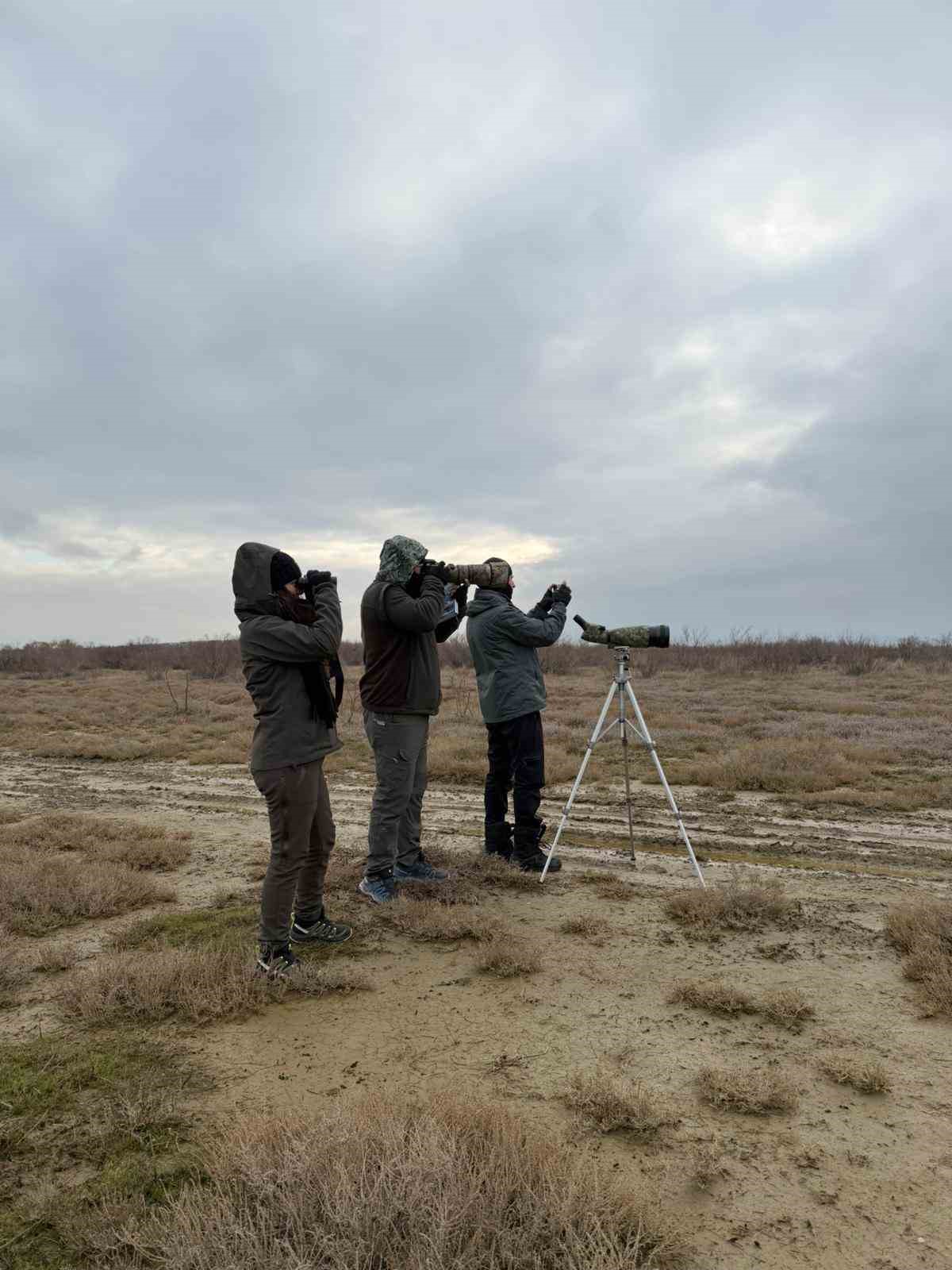 Çanakkale’de kış ortası su kuşu sayımları

