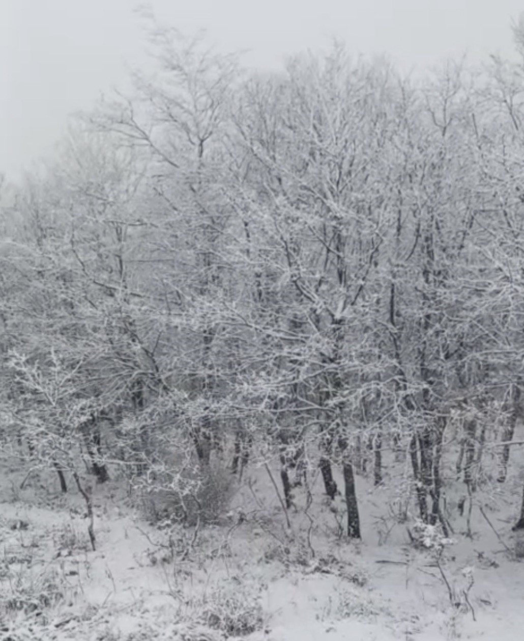 Çanakkale’de yüksek kesimler beyaza büründü
