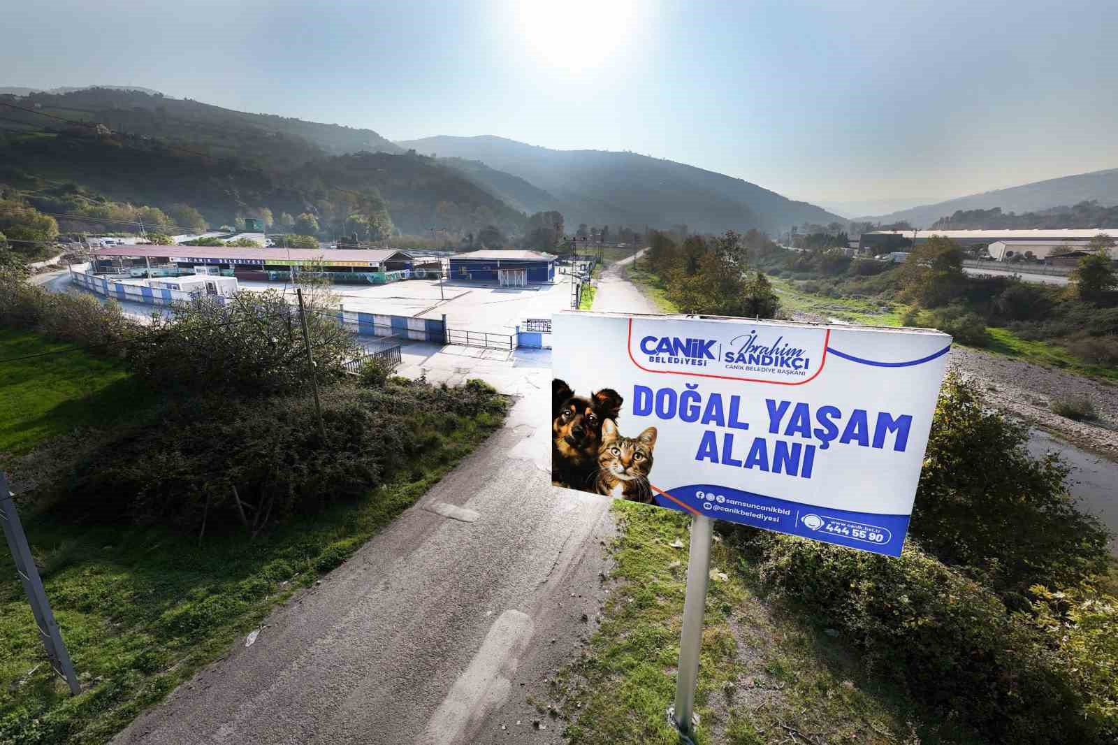 Canik Belediyesi doğal yaşam alanıyla can dostlara kucak açıyor
Canik Belediyesi doğal yaşam alanıyla can dostlara kucak açıyor