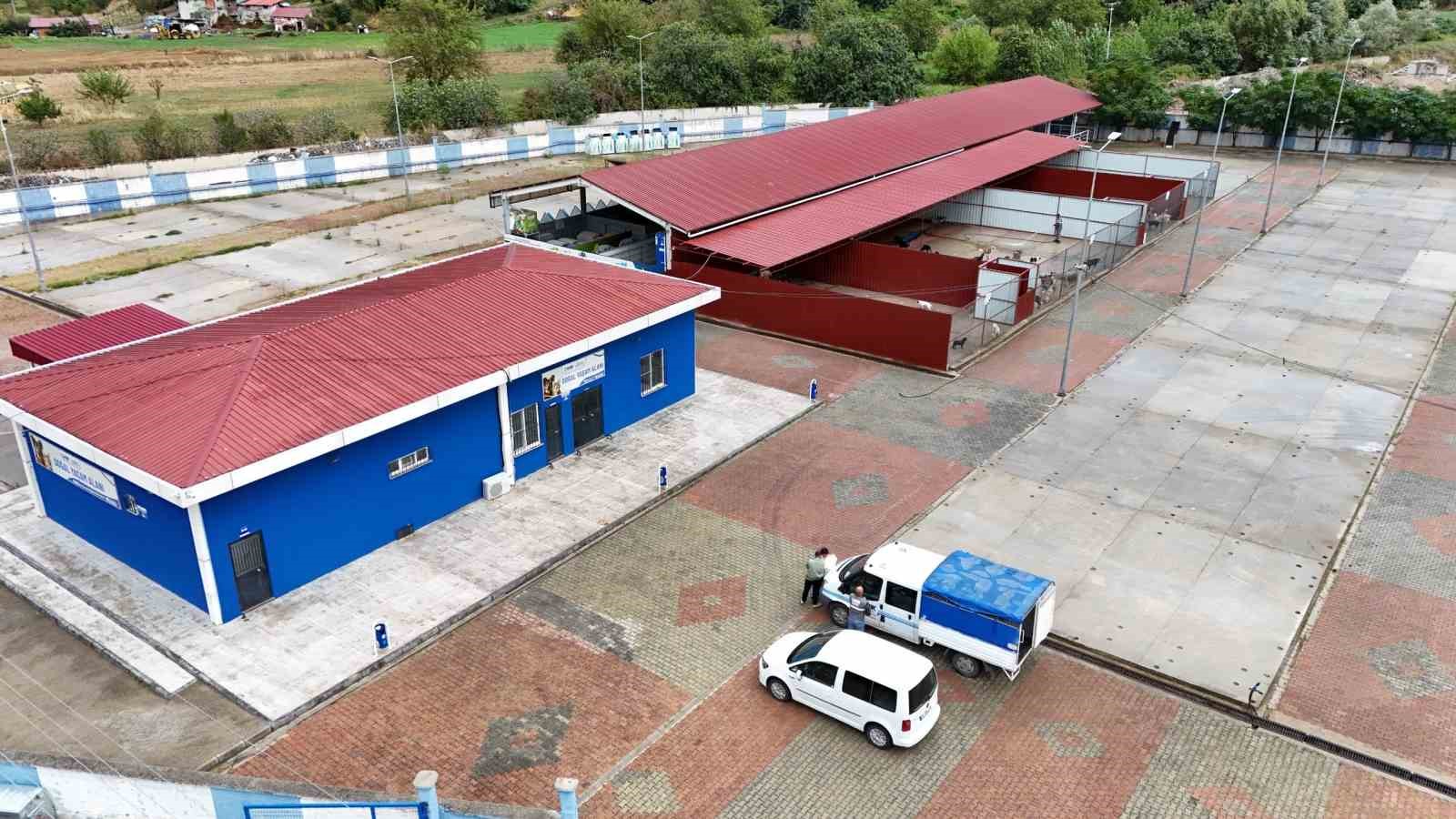 Canik Belediyesi doğal yaşam alanıyla can dostlara kucak açıyor
Canik Belediyesi doğal yaşam alanıyla can dostlara kucak açıyor