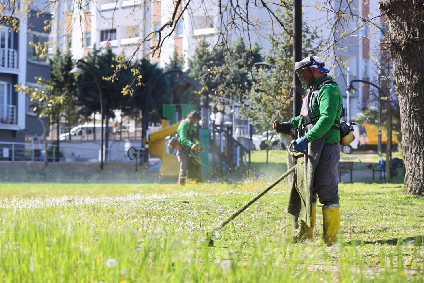 Canik’te parklar yaza hazırlanıyor
