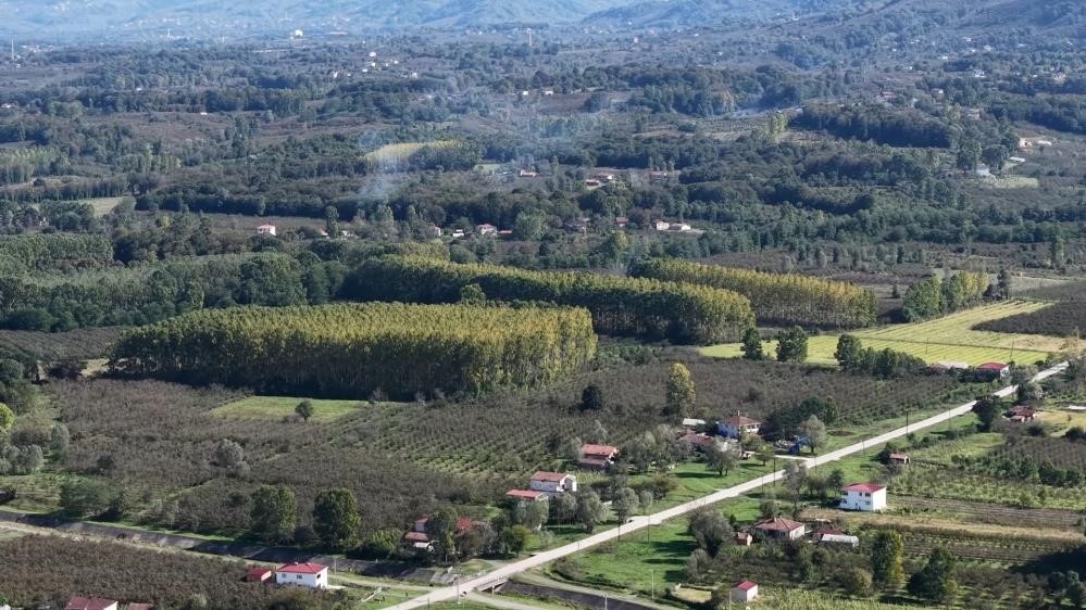 Çarşamba Ovası meyvede zirvede
Çarşamba Ovası meyvede zirvede