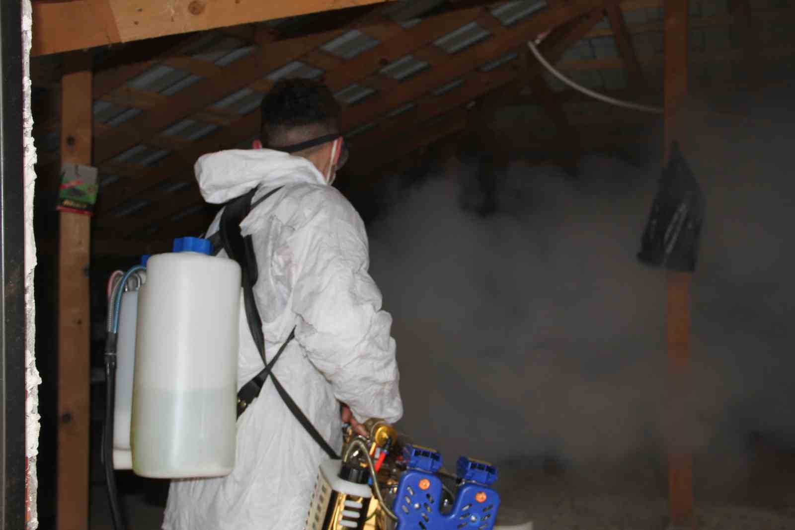 Çarşamba Ovası’nda kokarcayla mücadele
