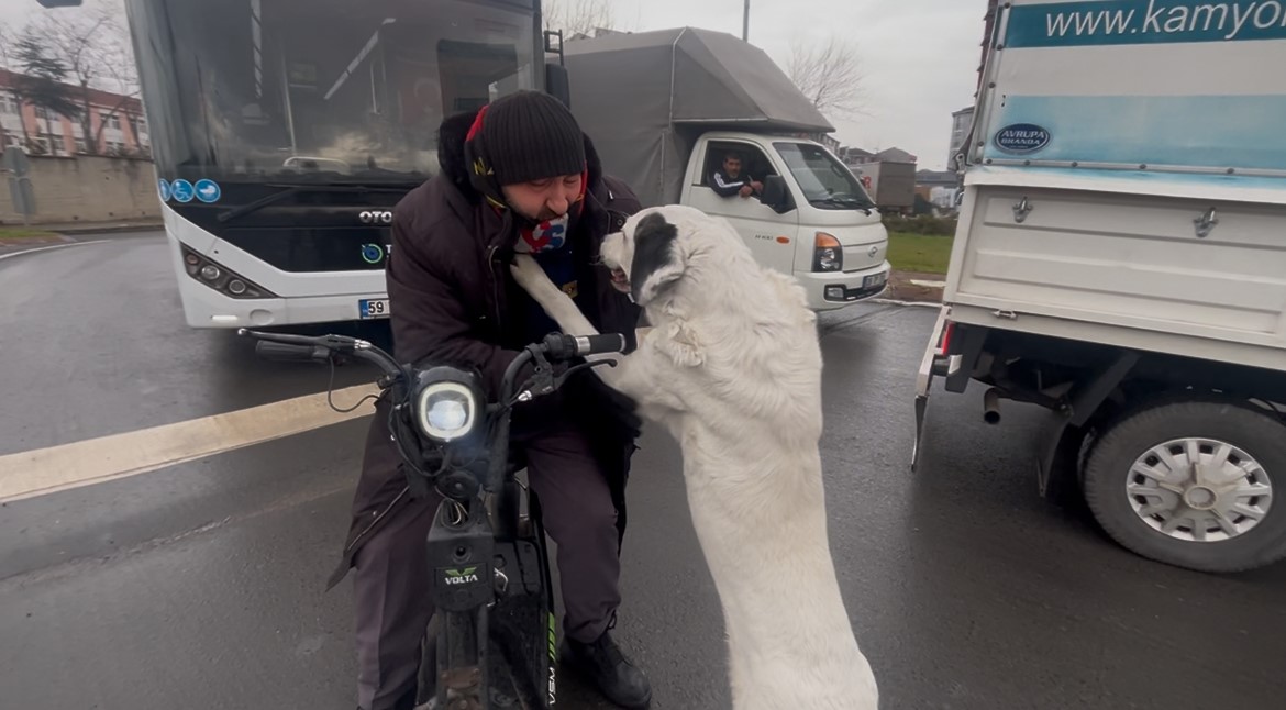 Çarşı pazar peşinden ayrılmıyor
