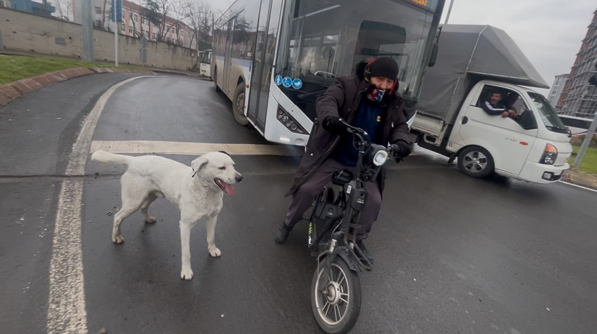 Çarşı pazar peşinden ayrılmıyor
