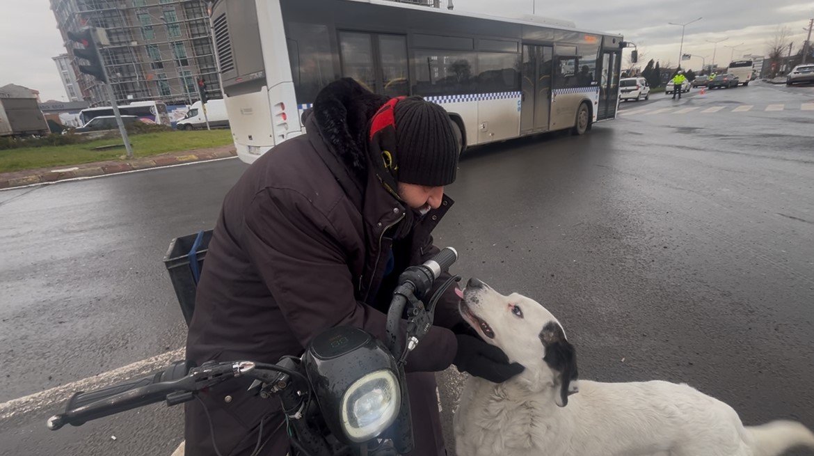 Çarşı pazar peşinden ayrılmıyor
