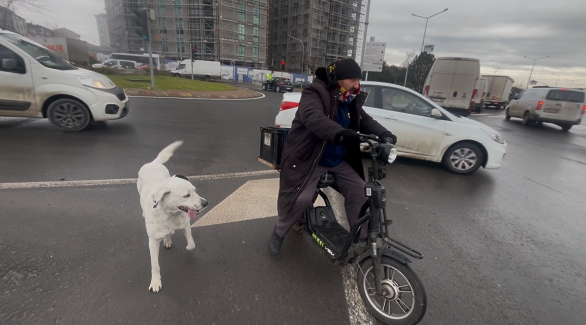 Çarşı pazar peşinden ayrılmıyor
