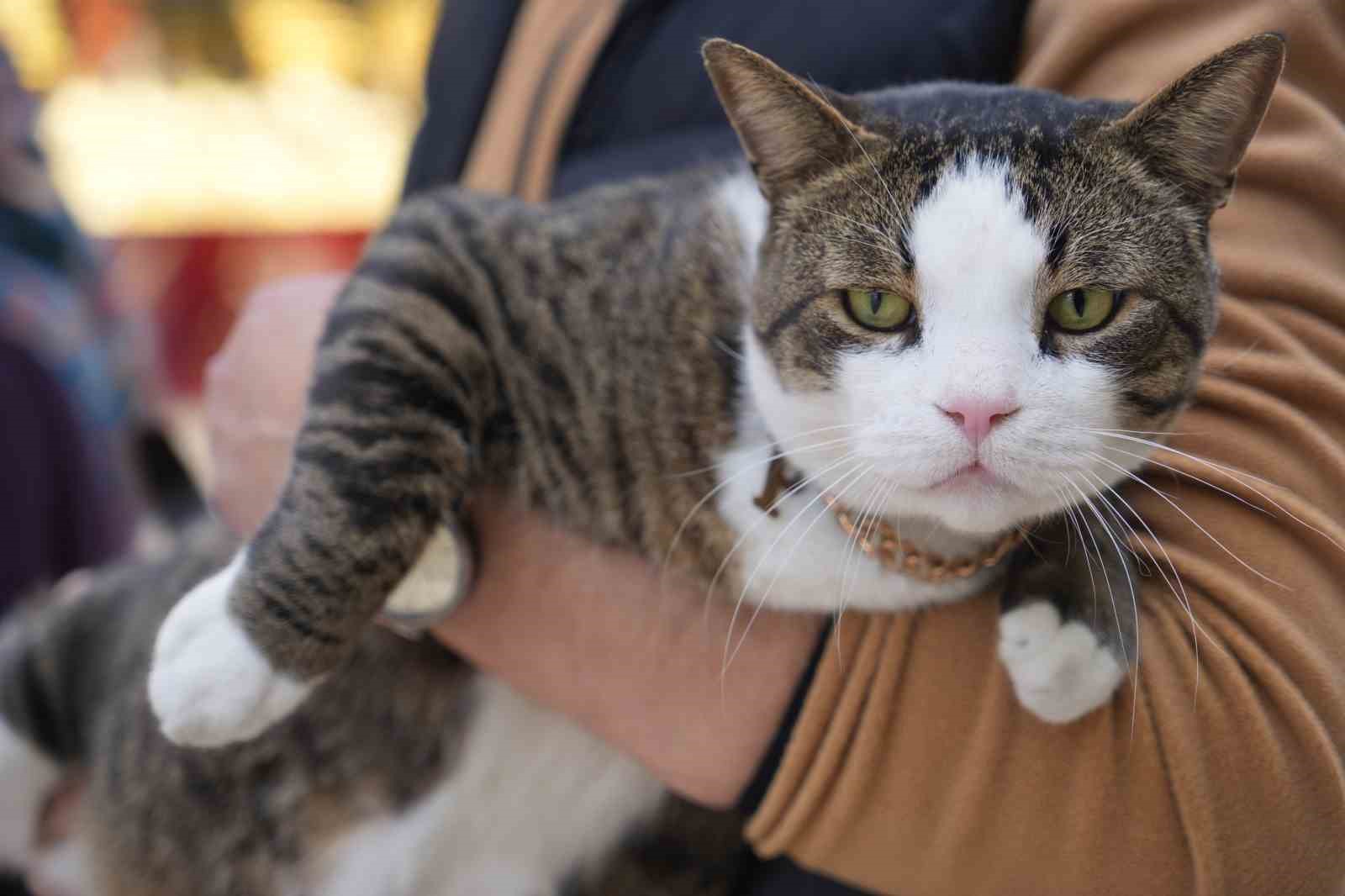 Çarşının 10 kiloluk Prens’i
