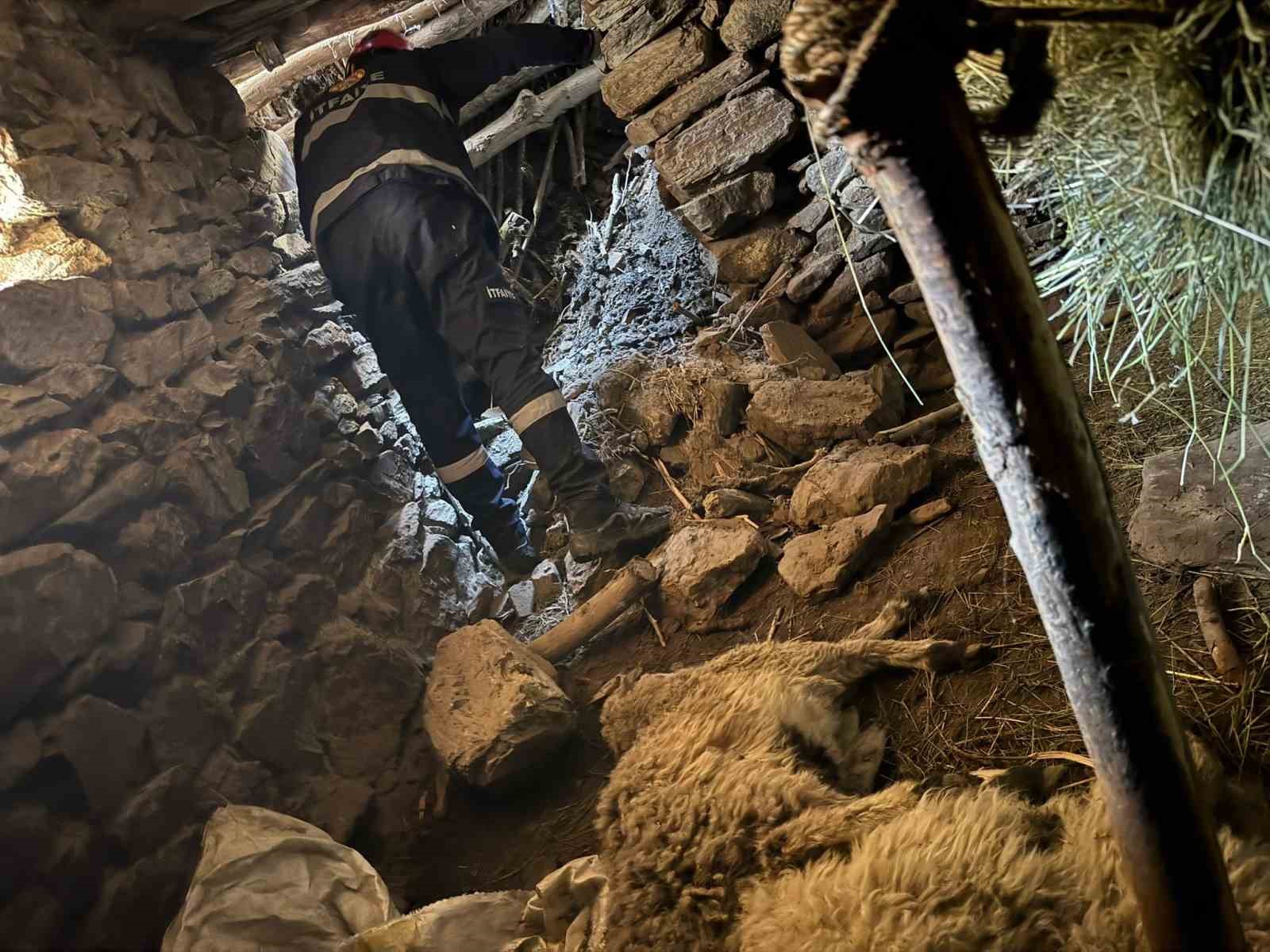 Çatak’ta ahır çöktü: 50 kuzu göçük altında kaldı
