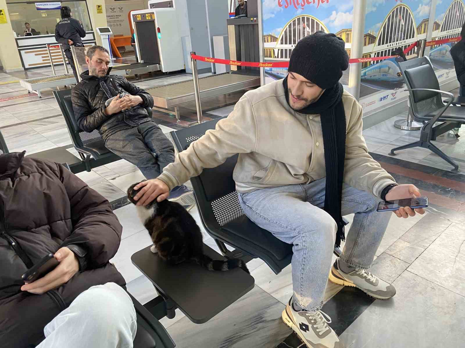 Çatıda mahsur kalmış gibi bağırıp gençlerle oynayan kedi yine aynısını yaptı
