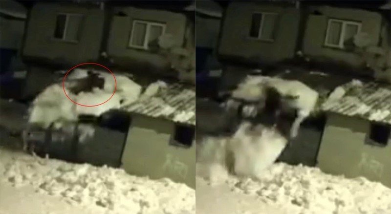 Çatıdaki karı temizlerken kar kütlesiyle zemine düştü
