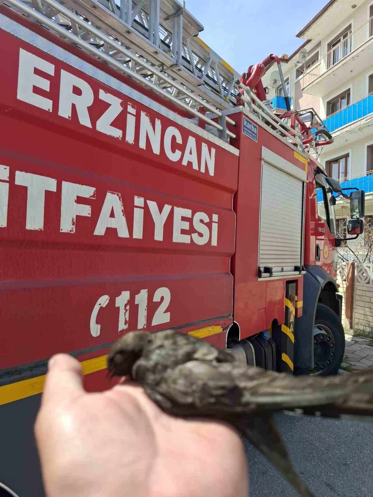 Çatıya takılan kuşu itfaiye kurtardı
