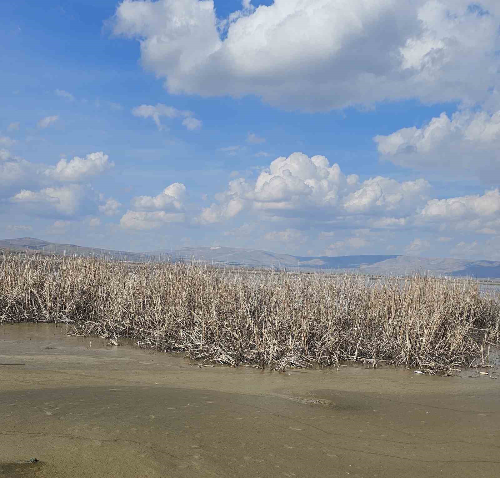 Çavuşçu Gölü çatlamış topraktan göl görünümüne kavuşmaya başladı
Çavuşçu Gölü çatlamış topraktan göl görünümüne kavuşmaya başladı