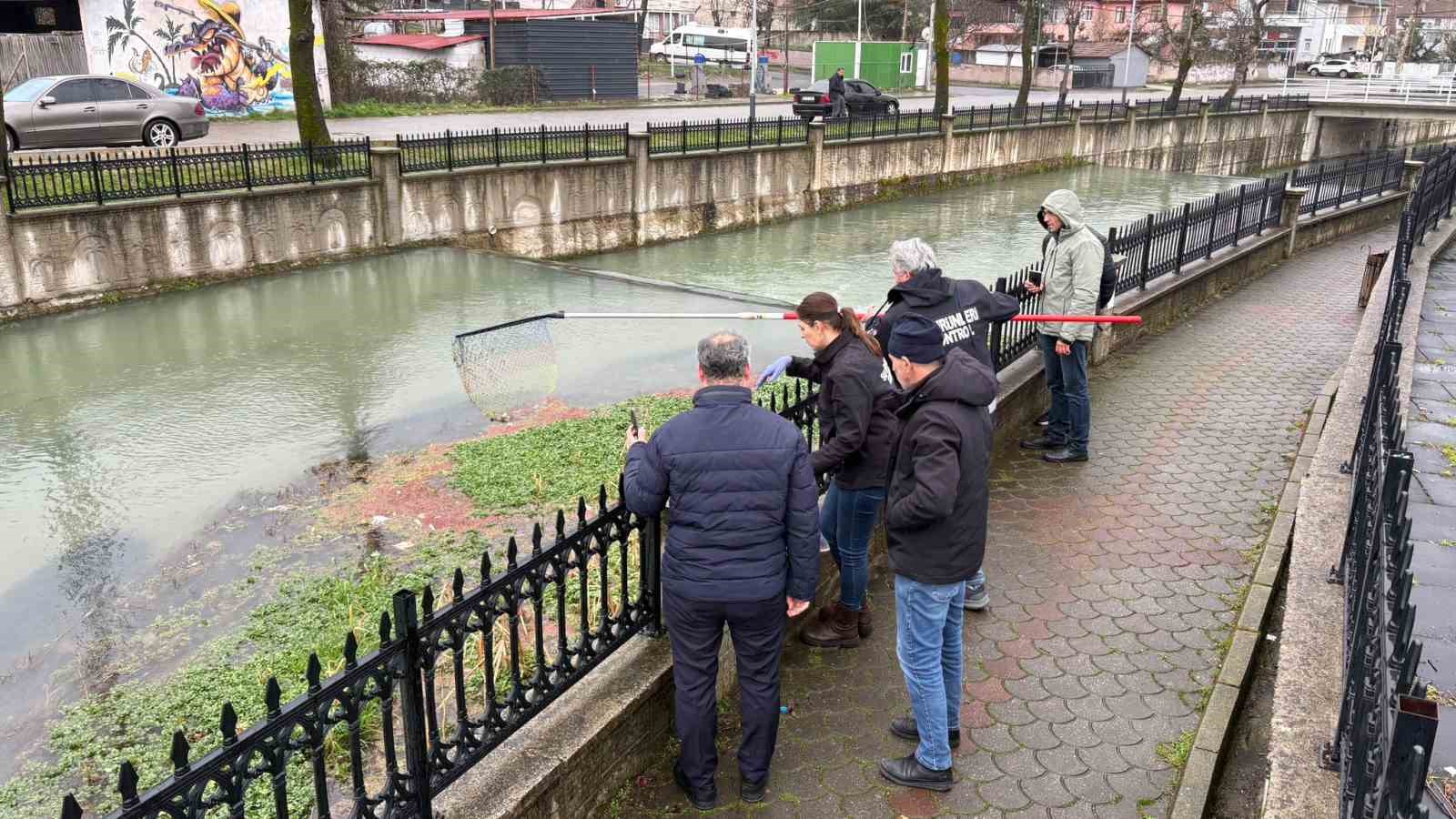 Çayda korkutan görüntü: Yüzeye çıkan balıklar ölüyor
