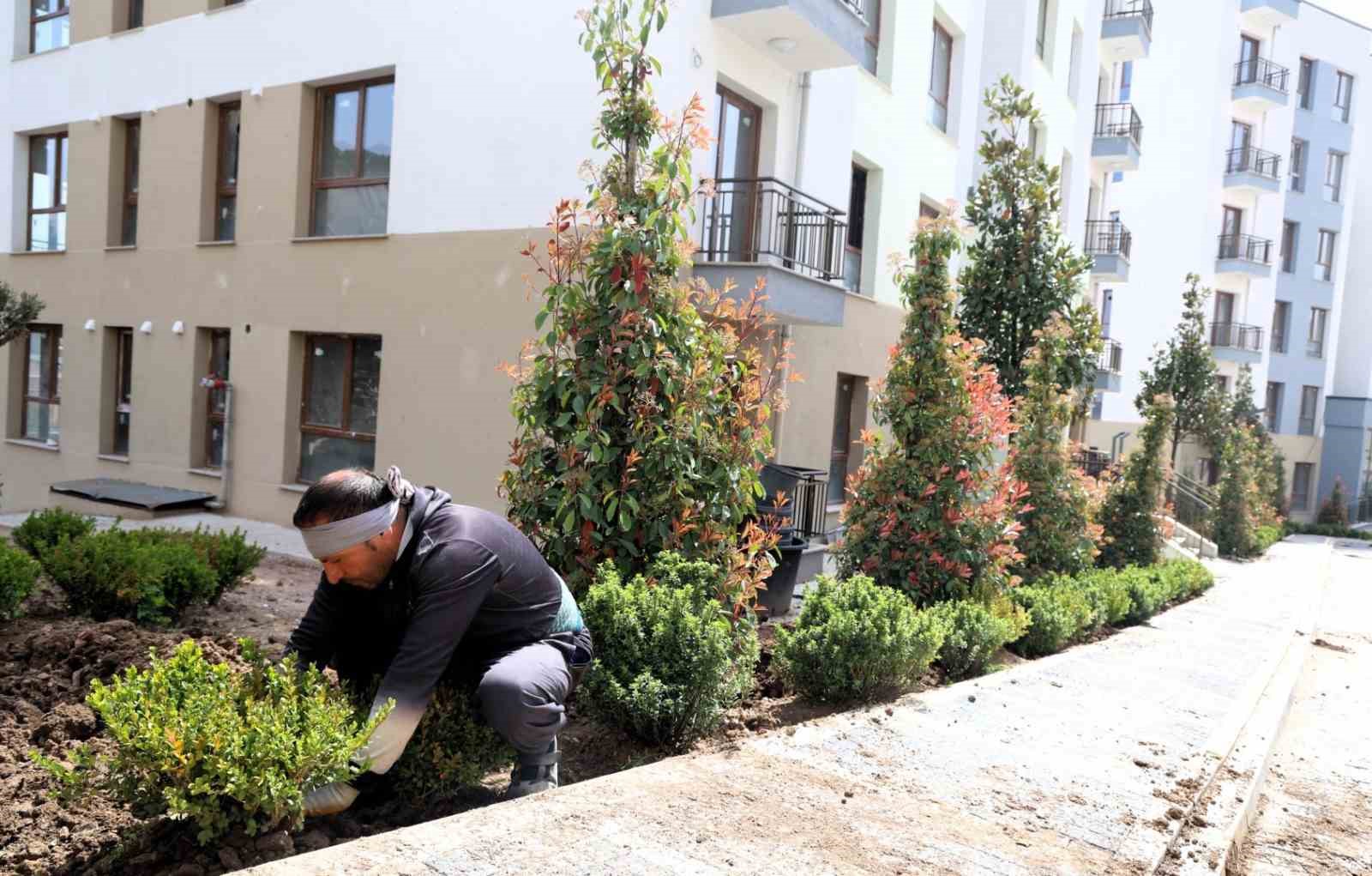 Cedit Kentsel Dönüşüm Projesi’nde çevre düzenlemesi devam ediyor

