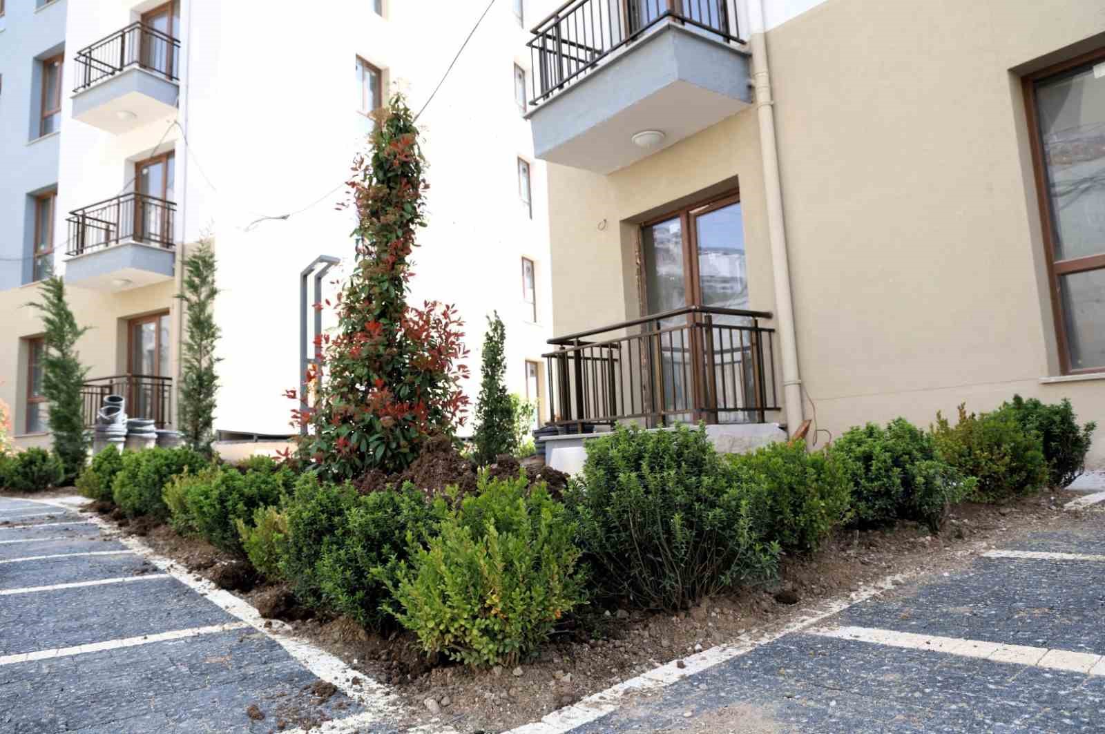 Cedit Kentsel Dönüşüm Projesi’nde çevre düzenlemesi devam ediyor
