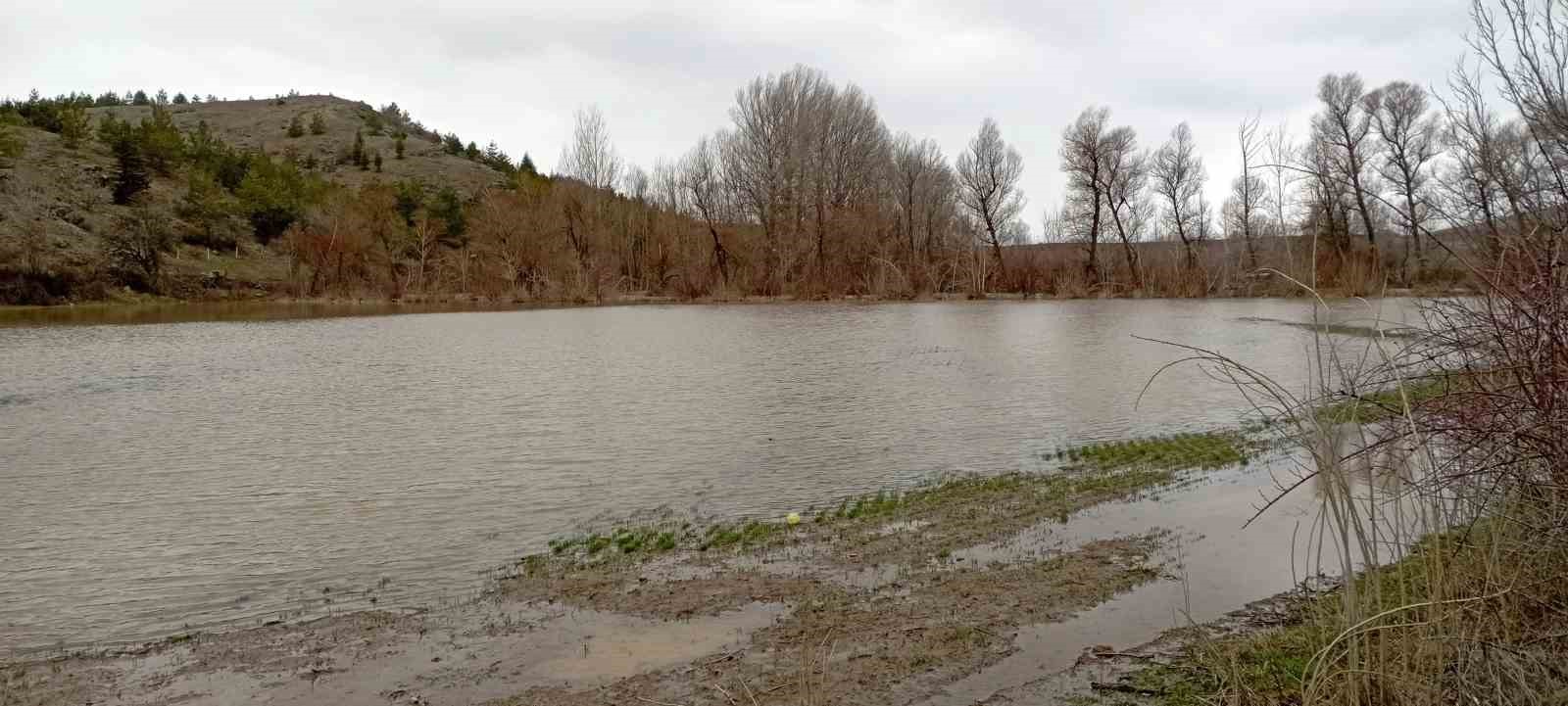 Çekerek ırmağı taştı; yollar ve tarlalar sular altında kaldı
