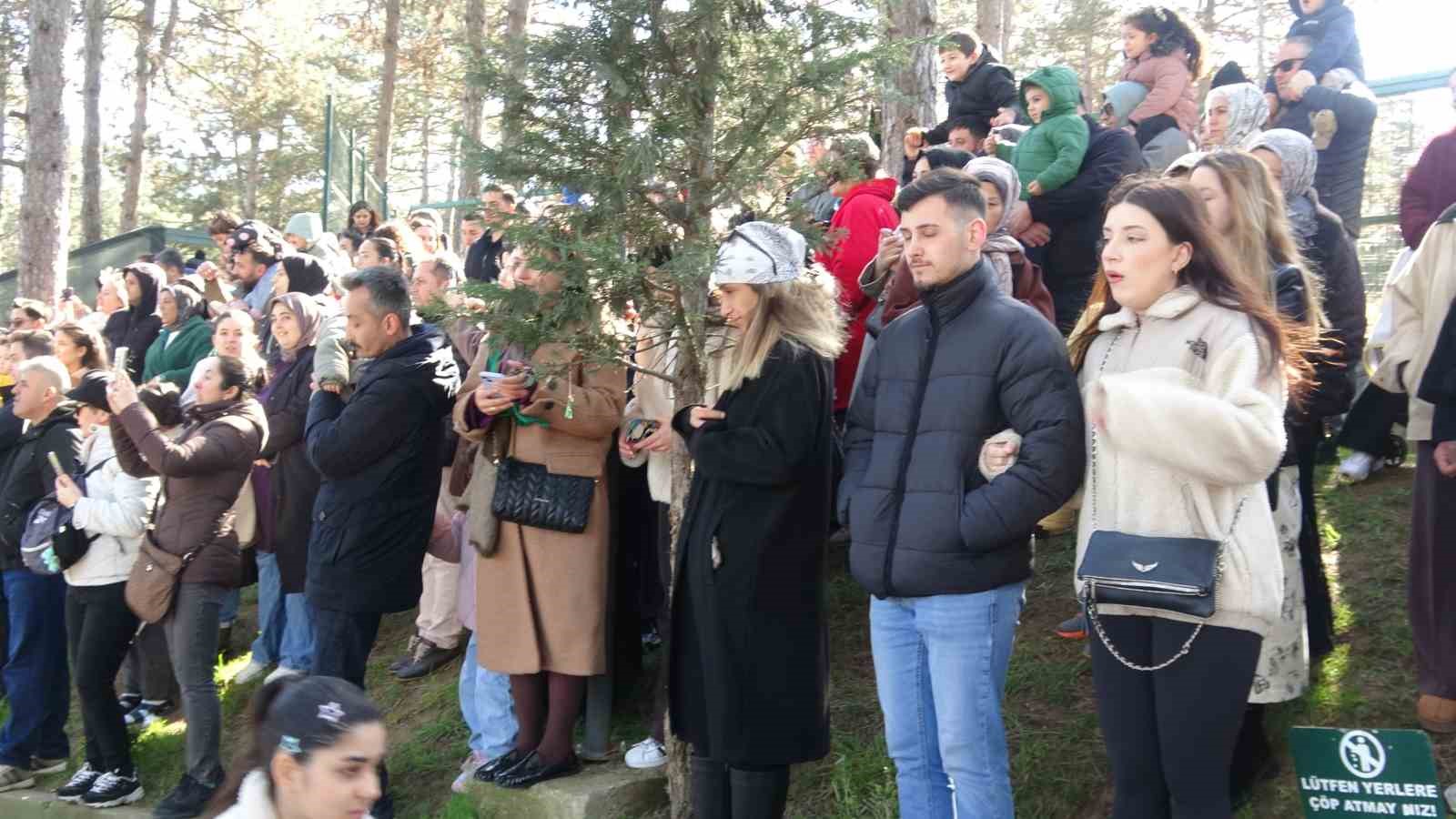 Çekmeköy’de kadınlar 8 Mart’ı hayvanat bahçesinde kutladı: Park of İstanbul kadınlara ücretsiz açıldı
Çekmeköy’de kadınlar 8 Mart’ı hayvanat bahçesinde kutladı: Park of İstanbul kadınlara ücretsiz açıldı
