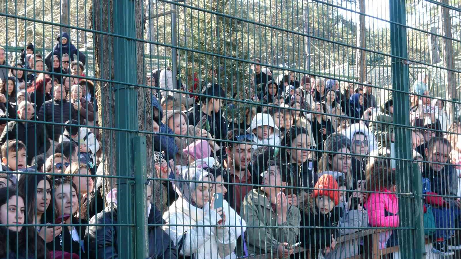 Çekmeköy’de kadınlar 8 Mart’ı hayvanat bahçesinde kutladı: Park of İstanbul kadınlara ücretsiz açıldı
Çekmeköy’de kadınlar 8 Mart’ı hayvanat bahçesinde kutladı: Park of İstanbul kadınlara ücretsiz açıldı