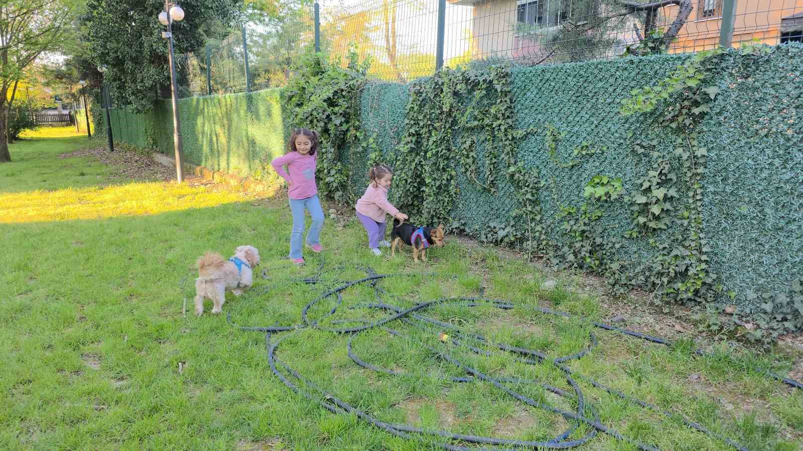 Ceku’nun park keyfi: Kaydıraktan kayıyor, çocuklarla oynuyor
