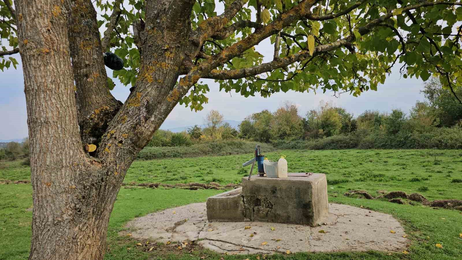 Cesedi su kuyusunda bulunan 17 yaşındaki Hasret’in katil zanlısına müebbet hapis cezası talebi
