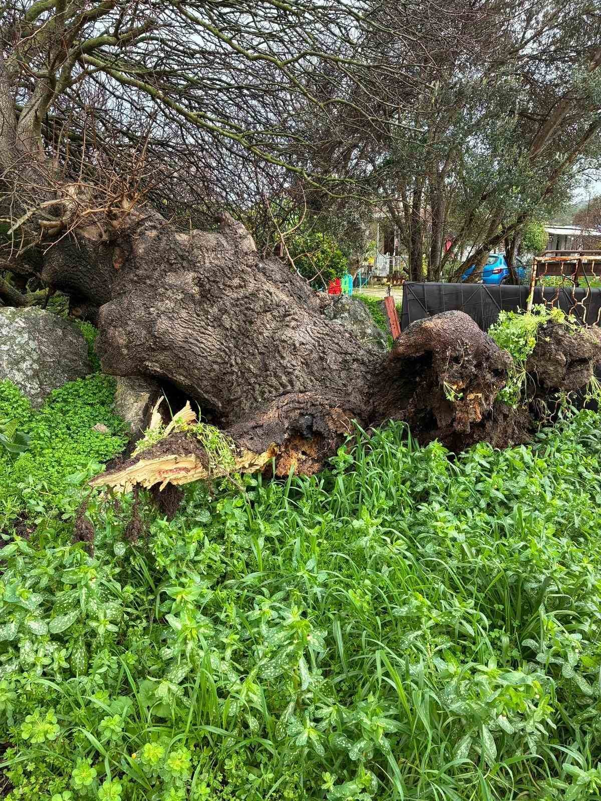 Çeşme’de sağanak yağış ve fırtına günlük yaşamı zorlaştırdı
