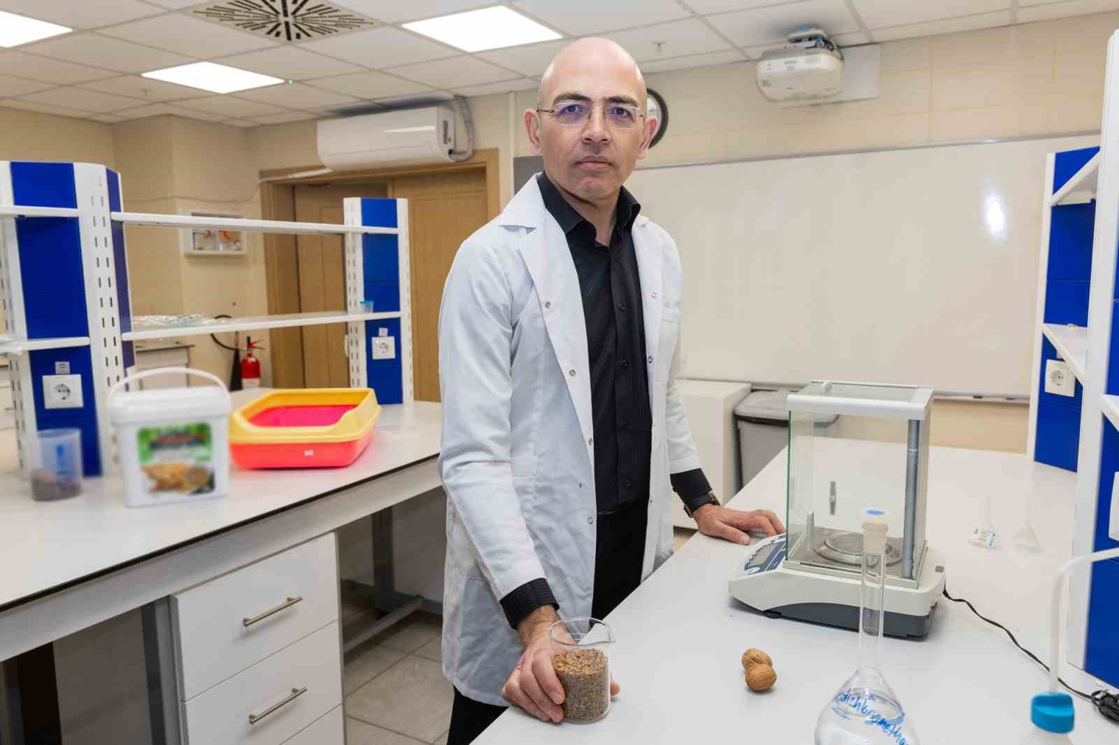 Ceviz kabuğundan kedi kumu üretti
