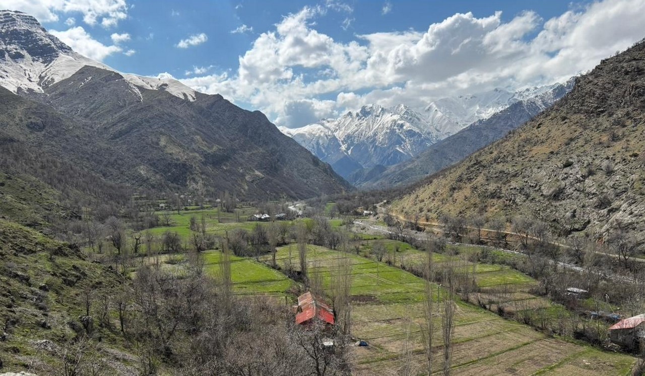 Cevizli köyü sakinlerinden yol talebi

