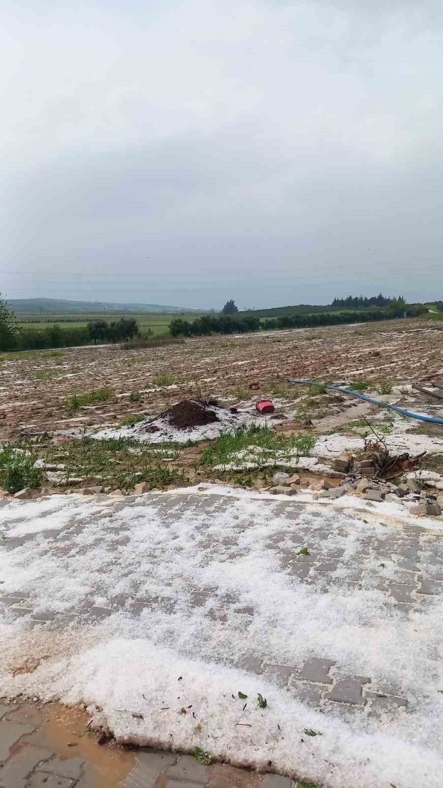 Çevreyi beyaza bürüyen fındık büyüklüğündeki dolu tarım arazilerini vurdu
