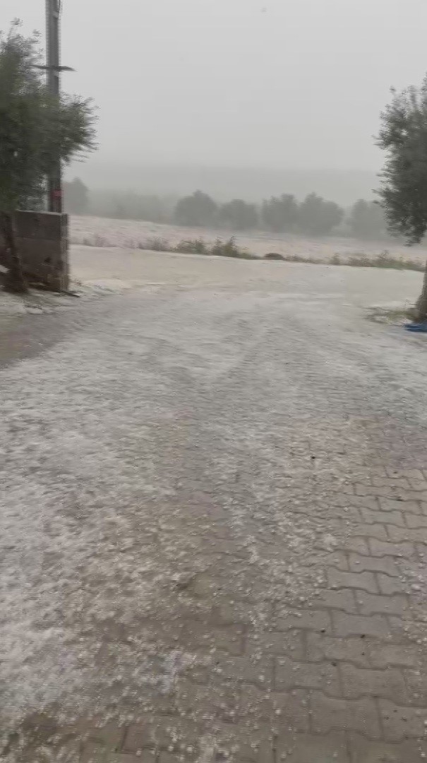 Çevreyi beyaza bürüyen fındık büyüklüğündeki dolu tarım arazilerini vurdu
