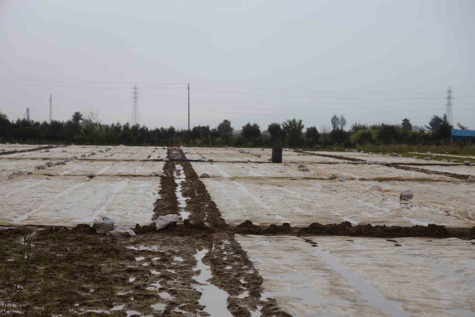 Çevreyi beyaza bürüyen fındık büyüklüğündeki dolu tarım arazilerini vurdu
