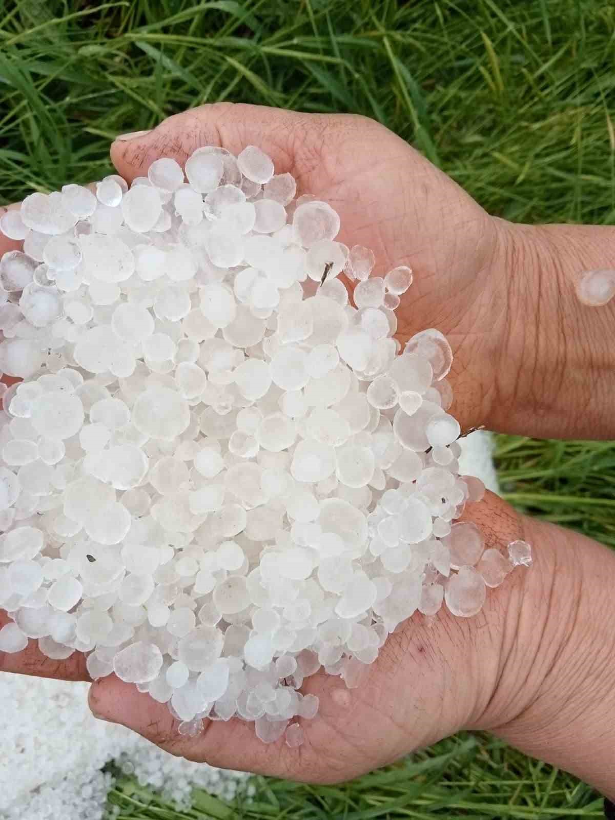 Çevreyi beyaza bürüyen fındık büyüklüğündeki dolu tarım arazilerini vurdu
